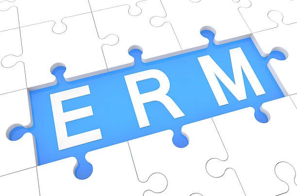 Enterprise Risk/Resource Management - puzzle 3d render illustration with word on blue background