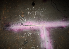 ndt2